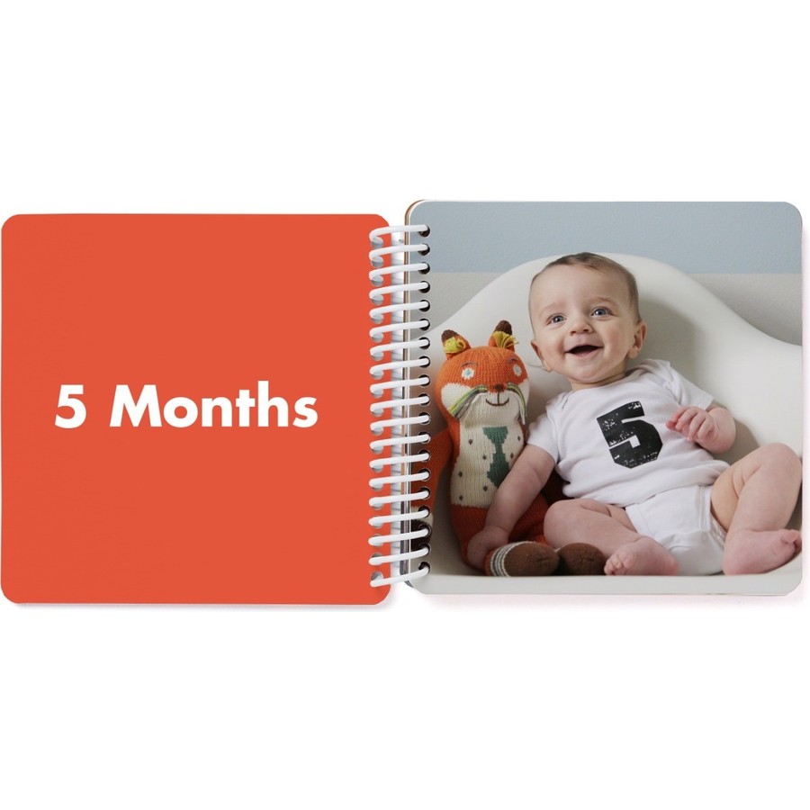 Board Books for Babies