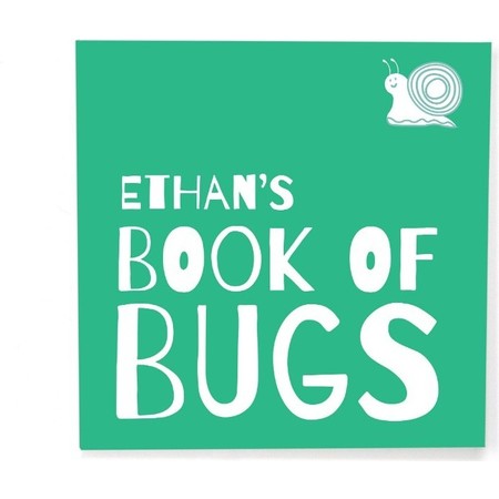 Custom Itty Bitty Book of Bugs, Cover
