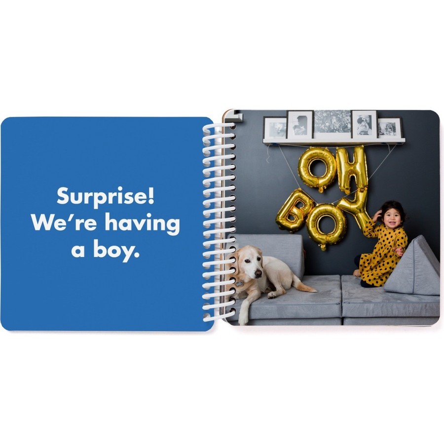 Year in Review Board Book Pinhole Press